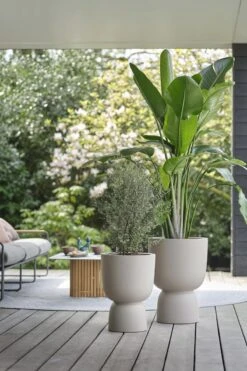 Elho Pure Coupe 41 - Bloempot Voor Binnen & Buiten - Ø 41.3 X H 57.9 Cm - Beige/Balanced Beige -Tuinwinkel Voor Buitenartikelen 800x1200 167