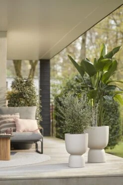 Elho Pure Coupe 41 - Bloempot Voor Binnen & Buiten - Ø 41.3 X H 57.9 Cm - Beige/Balanced Beige -Tuinwinkel Voor Buitenartikelen 800x1200 169