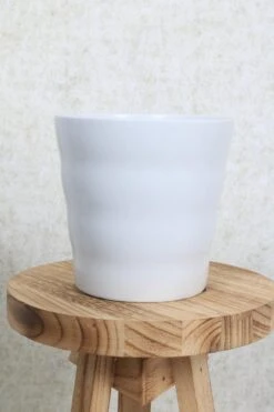 Tuinwinkel Voor Buitenartikelen -Tuinwinkel Voor Buitenartikelen 800x1200 174