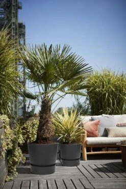 Tuinwinkel Voor Buitenartikelen -Tuinwinkel Voor Buitenartikelen 800x1200 178