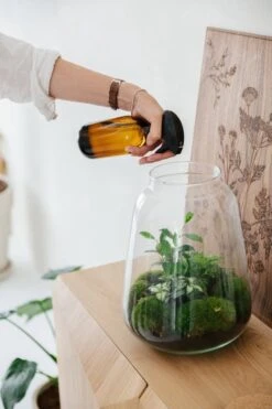 24DOTS Living Plantenspuit | 500 Ml Bruin Amber Glas | Plantensproeier | Plantenspuit Binnen | Waterverstuiver | Vernevelaar -Tuinwinkel Voor Buitenartikelen 800x1200 50