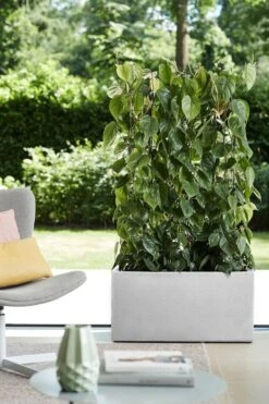 Elho Vivo Structure Finish Lang 90 - Plantenbak Voor Binnen & Buiten - Ø 88 X H 41 - Wit -Tuinwinkel Voor Buitenartikelen 800x1200 71