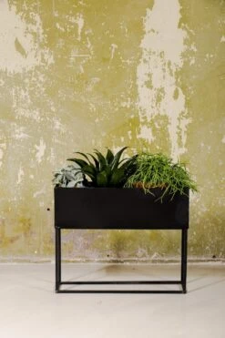 SENZA Rechthoekige Plantenbak - Bloemenbak Ijzer - 42.5 X 34cm - Zwart -Tuinwinkel Voor Buitenartikelen 800x1200 72