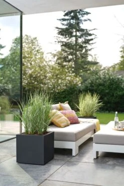 Elho Vivo Next Vierkant 40 - Plantenbak Voor Binnen & Buiten - Ø 39.0 X H 37.9 Cm - Zwart/Living Black 26 Elho Vivo Next Vierkant 40 - Plantenbak Voor Binnen & Buiten - Ø 39.0 X H 37.9 Cm - Zwart/Living Black -Tuinwinkel Voor Buitenartikelen 800x1200 73