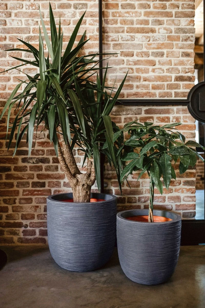 Capi Europe - Bloempot Bol Rib NL - 35x34 - Zwart - Voor Binnen En Buiten - KBLR932 4 Capi Europe - Bloempot Bol Rib NL - 35x34 - Zwart - Voor Binnen En Buiten - KBLR932 - Afbeelding 4