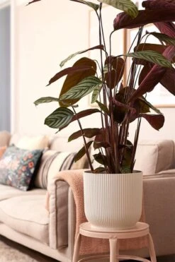 Elho Vibes Fold Rond 30 - Bloempot Voor Binnen - Ø 29.5 X H 27.2 Cm - Zijdewit -Tuinwinkel Voor Buitenartikelen 800x1200 77