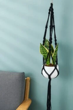 4 Stuks Zwarte Macrame Plantenhangers - Boho Handgeweven Katoen Hangpot Voor Binnen/Buiten - Hangende Bloempot Met Kralen - Macramé Touw/Koord Hangplant Houder - Bohemian Wandhanger Decoratie - Plant Hanger - Verticale Tuin Bloempothouder Planthanger 13 4 Stuks Zwarte Macrame Plantenhangers - Boho Handgeweven Katoen Hangpot Voor Binnen/Buiten - Hangende Bloempot Met Kralen - Macramé Touw/Koord Hangplant Houder - Bohemian Wandhanger Decoratie - Plant Hanger - Verticale Tuin Bloempothouder Planthanger -Tuinwinkel Voor Buitenartikelen 800x1200 80