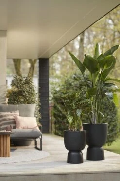 Elho Pure Coupe 35 - Bloempot Voor Binnen & Buiten - Ø 34.9 X H 49.0 Cm - Zwart/Zwart -Tuinwinkel Voor Buitenartikelen 800x1200 85