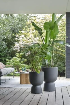 Elho Pure Coupe 35 - Bloempot Voor Binnen & Buiten - Ø 34.9 X H 49.0 Cm - Zwart/Zwart -Tuinwinkel Voor Buitenartikelen 800x1200 86