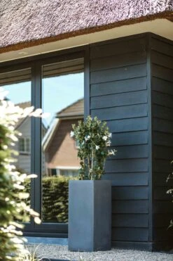 Capi Europe - Bloempot Rechthoek Smooth NL - 36x36x79 - Zwart - Voor Binnen En Buiten - KBL952 -Tuinwinkel Voor Buitenartikelen 800x1200 87