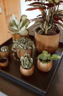 Capi Europe - Bloempot Bol Groove - 23x21 - Goud - Bloempot Voor Binnen - BGVGB134 -Tuinwinkel Voor Buitenartikelen 800x1200 88