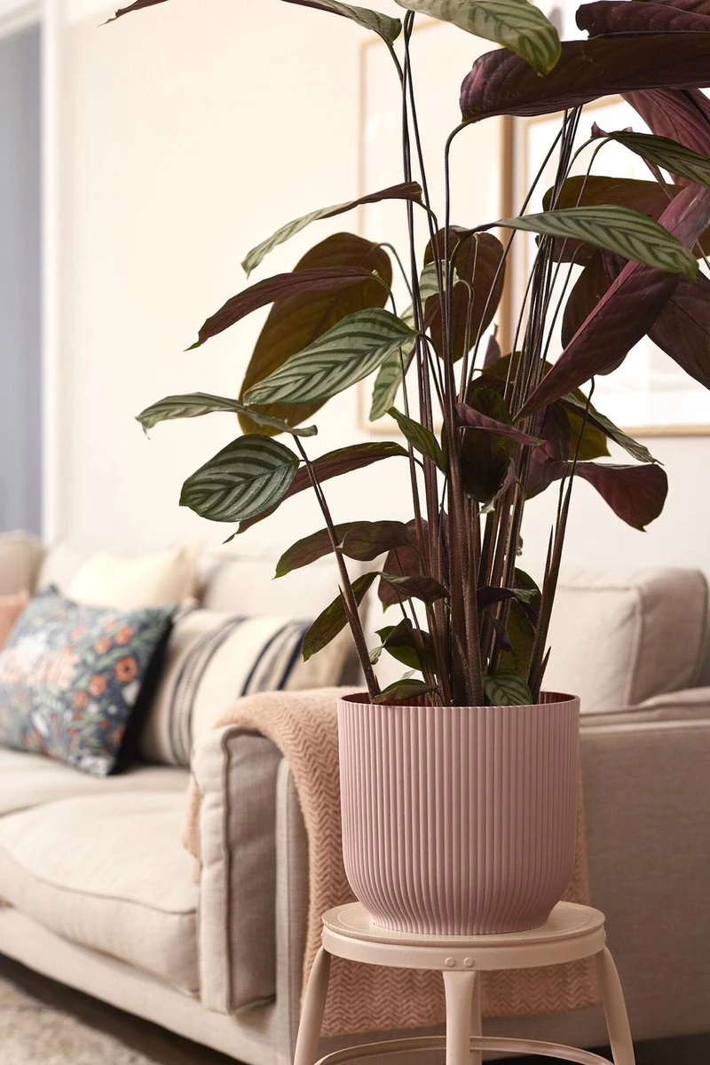 Elho Vibes Fold Rond Wielen 35 - Bloempot Voor Binnen - Ø 34.9 X H 32.4 Cm - Delicaat Roze 3 Elho Vibes Fold Rond Wielen 35 - Bloempot Voor Binnen - Ø 34.9 X H 32.4 Cm - Delicaat Roze - Afbeelding 3