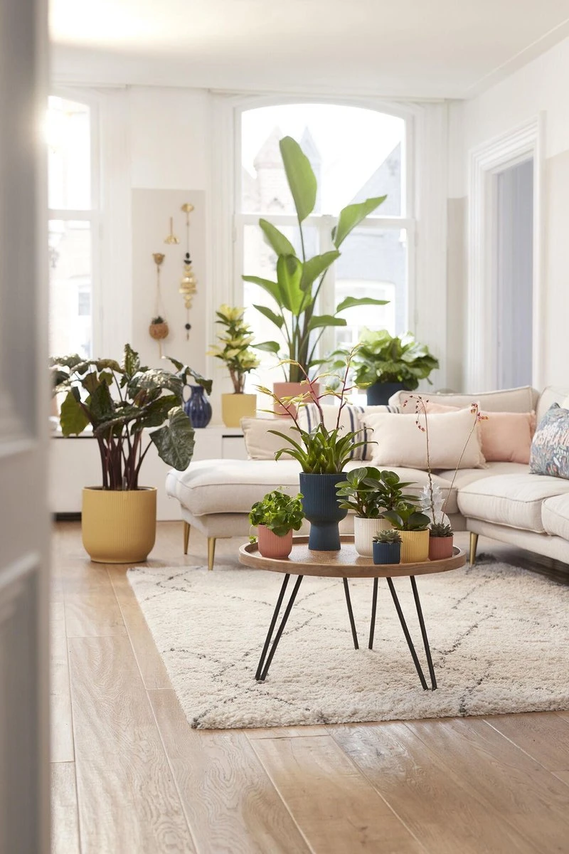 Elho Vibes Fold Rond Wielen 35 - Bloempot Voor Binnen - Ø 34.9 X H 32.4 Cm - Delicaat Roze 4 Elho Vibes Fold Rond Wielen 35 - Bloempot Voor Binnen - Ø 34.9 X H 32.4 Cm - Delicaat Roze - Afbeelding 4