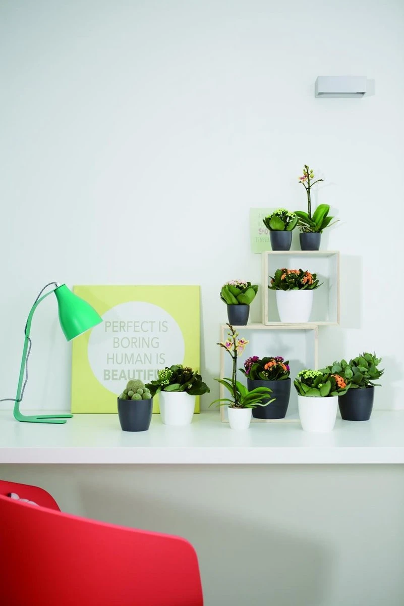 Elho Brussels Rond Mini 7 - Bloempot Voor Binnen - Ø 6.7 X H 6.0 Cm - Zwart/Antraciet 1 Elho Brussels Rond Mini 7 - Bloempot Voor Binnen - Ø 6.7 X H 6.0 Cm - Zwart/Antraciet