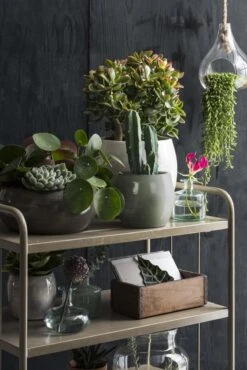 Mica Decorations Lester Bloempot - H31 X Ø33 Cm - Terracotta - Groen 18 Mica Decorations Lester Bloempot - H31 X Ø33 Cm - Terracotta - Groen -Tuinwinkel Voor Buitenartikelen 801x1200 14