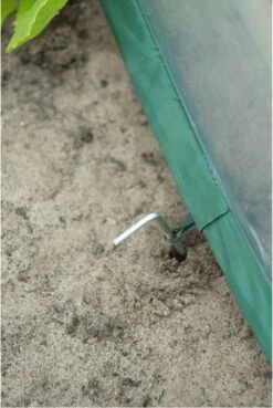 Nature - Tuinbroeikas Pop-up - 100 X 100 X 100cm - Vierkante Meter Tuin 18 Nature - Tuinbroeikas Pop-up - 100 X 100 X 100cm - Vierkante Meter Tuin -Tuinwinkel Voor Buitenartikelen 803x1200 2