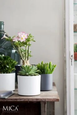 Mica Decorations Era Bloempot - H26 X Ø28 Cm - Wit 12 Mica Decorations Era Bloempot - H26 X Ø28 Cm - Wit -Tuinwinkel Voor Buitenartikelen 803x1200 6