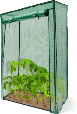 Relaxdays Tomatenkas 150x100x50 Cm - Tuinkas Tomaten - Foliekas - Serre - Kweekkas - PVC -Tuinwinkel Voor Buitenartikelen 808x1200 4