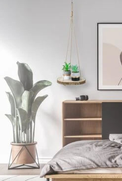 Set Van 2 Boomstam Rond Wandrek Plantenhangers - Boho Jute Houten Plantenrek - Hangpot Voor Binnen/Buiten - Hangende Bloempot Plank - Hangplant Houder - Bohemian Macrame Stijl Wandhanger - Hangplank Plant Hanger - Planthanger - Ø Rond 25-20cm 12 Set Van 2 Boomstam Rond Wandrek Plantenhangers - Boho Jute Houten Plantenrek - Hangpot Voor Binnen/Buiten - Hangende Bloempot Plank - Hangplant Houder - Bohemian Macrame Stijl Wandhanger - Hangplank Plant Hanger - Planthanger - Ø Rond 25-20cm -Tuinwinkel Voor Buitenartikelen 809x1200