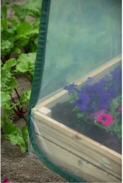 Nature - Tuinbroeikas Pop-up - 100 X 100 X 100cm - Vierkante Meter Tuin 15 Nature - Tuinbroeikas Pop-up - 100 X 100 X 100cm - Vierkante Meter Tuin -Tuinwinkel Voor Buitenartikelen 810x1200