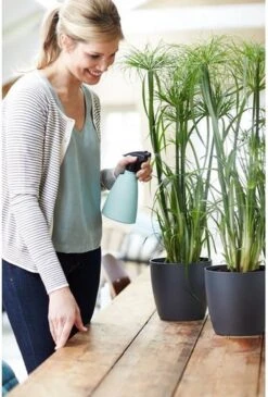 Elho Brussels Sprayer 12 - Plantenspuit Voor Binnen - Ø 11.3 X H 22.3 Cm - Groen/Mint -Tuinwinkel Voor Buitenartikelen 813x1200