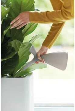 Elho Plunge Gieter 20 - Gieter Voor Binnenaccessoires - Ø 15.0 X H 29.5 Cm - Grijs/Warm Grijs 8 Elho Plunge Gieter 20 - Gieter Voor Binnenaccessoires - Ø 15.0 X H 29.5 Cm - Grijs/Warm Grijs -Tuinwinkel Voor Buitenartikelen 820x1200