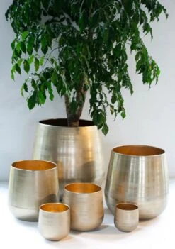 Merkloos Karakter Pot Alu Neo Gold ø40x40cm 6 Merkloos Karakter Pot Alu Neo Gold ø40x40cm -Tuinwinkel Voor Buitenartikelen 844x1200 1