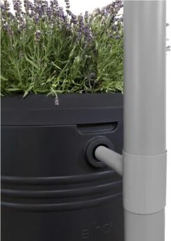 Elho Green Basics Regenton - Regenton - Living Black - Buiten - 200 Liter -Tuinwinkel Voor Buitenartikelen 852x1200
