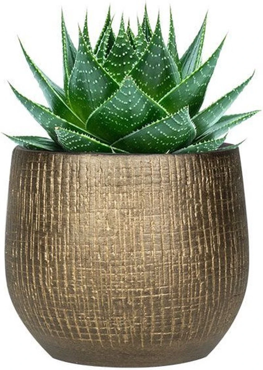 Plantenpot/bloempot In Een Strakke Modern Design Look Metal Goud Dia 22 Cm En Hoogte 20 Cm 2 Plantenpot/bloempot In Een Strakke Modern Design Look Metal Goud Dia 22 Cm En Hoogte 20 Cm - Afbeelding 2