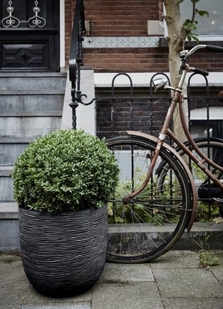 Capi Europe - Bloempot Bol Rib NL - 35x34 - Zwart - Voor Binnen En Buiten - KBLR932 12 Capi Europe - Bloempot Bol Rib NL - 35x34 - Zwart - Voor Binnen En Buiten - KBLR932 - Afbeelding 12