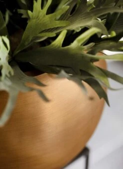 Capi Europe - Vaas Bol Retro - 30x25 - Goud - Bloempot Voor Binnen - BRTG104 17 Capi Europe - Vaas Bol Retro - 30x25 - Goud - Bloempot Voor Binnen - BRTG104 -Tuinwinkel Voor Buitenartikelen 869x1200 1