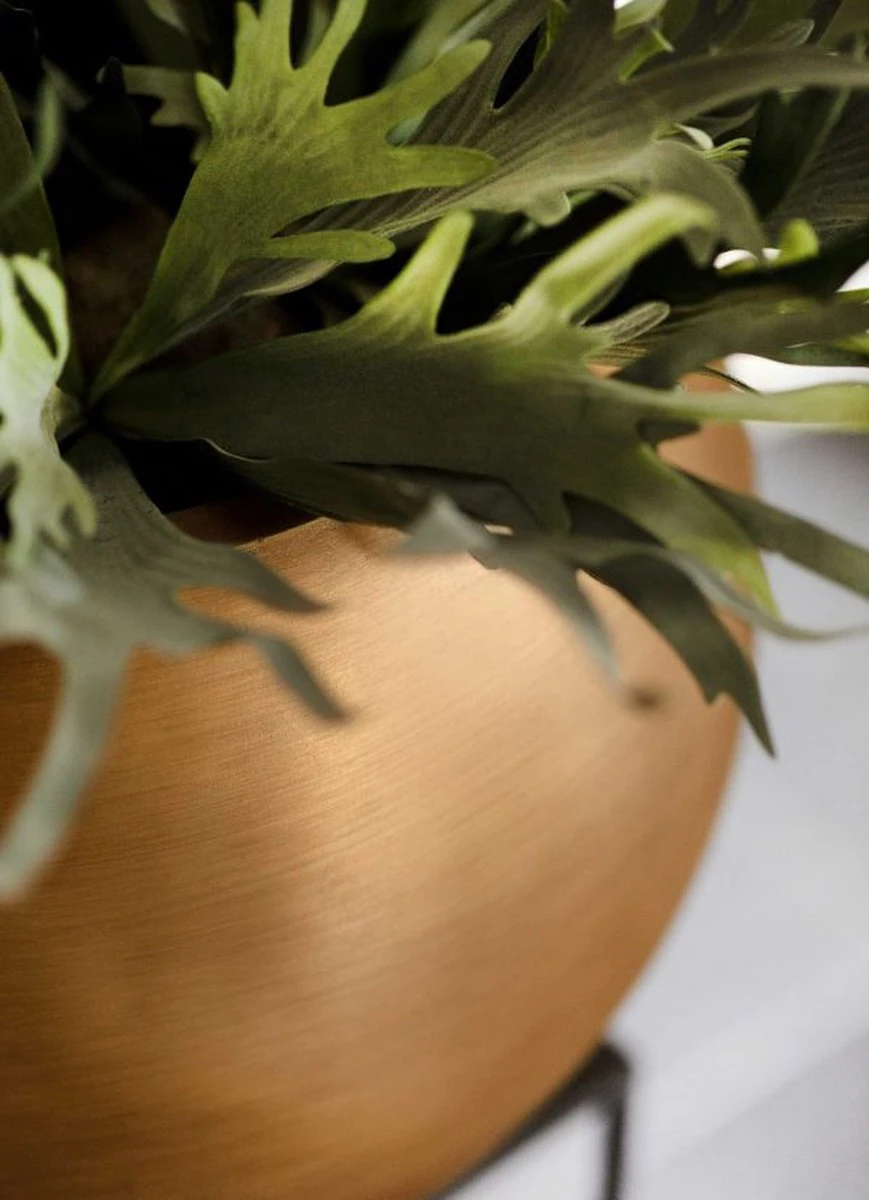 Capi Europe - Vaas Bol Retro - 30x25 - Goud - Bloempot Voor Binnen - BRTG104 8 Capi Europe - Vaas Bol Retro - 30x25 - Goud - Bloempot Voor Binnen - BRTG104 - Afbeelding 8