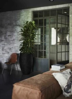 Capi Europe - Vaas Elegant Deluxe Rib NL - 40x60 - Zwart - Voor Binnen En Buiten - KBLR1131 26 Capi Europe - Vaas Elegant Deluxe Rib NL - 40x60 - Zwart - Voor Binnen En Buiten - KBLR1131 -Tuinwinkel Voor Buitenartikelen 873x1200 1