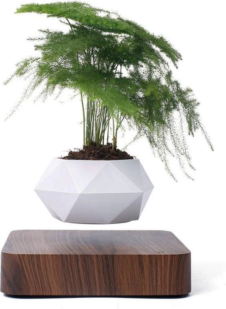 Floatey Design Plant | Zwevende Plant - Bloempot (levitation) 1 Floatey Design Plant | Zwevende Plant - Bloempot (levitation)