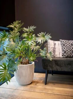 Capi Europe - Bloempot Bol Groove NL - 43x41 - Zwart - Voor Binnen En Buiten - KGVBL933 -Tuinwinkel Voor Buitenartikelen 883x1200 1