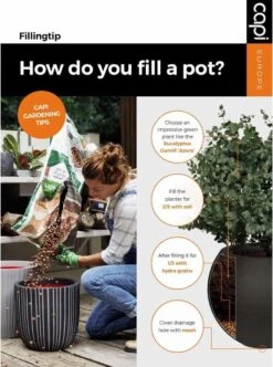 Capi Europe - Bloempot Vierkant Smooth NL - 30x30x30 - Zwart - Voor Binnen En Buiten - KBL902 -Tuinwinkel Voor Buitenartikelen 892x1200 2