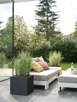 Elho Vivo Next Vierkant 30 - Plantenbak Voor Binnen & Buiten - Ø 29.5 X H 29.5 Cm - Zwart/Living Black 27 Elho Vivo Next Vierkant 30 - Plantenbak Voor Binnen & Buiten - Ø 29.5 X H 29.5 Cm - Zwart/Living Black -Tuinwinkel Voor Buitenartikelen 900x1200 16