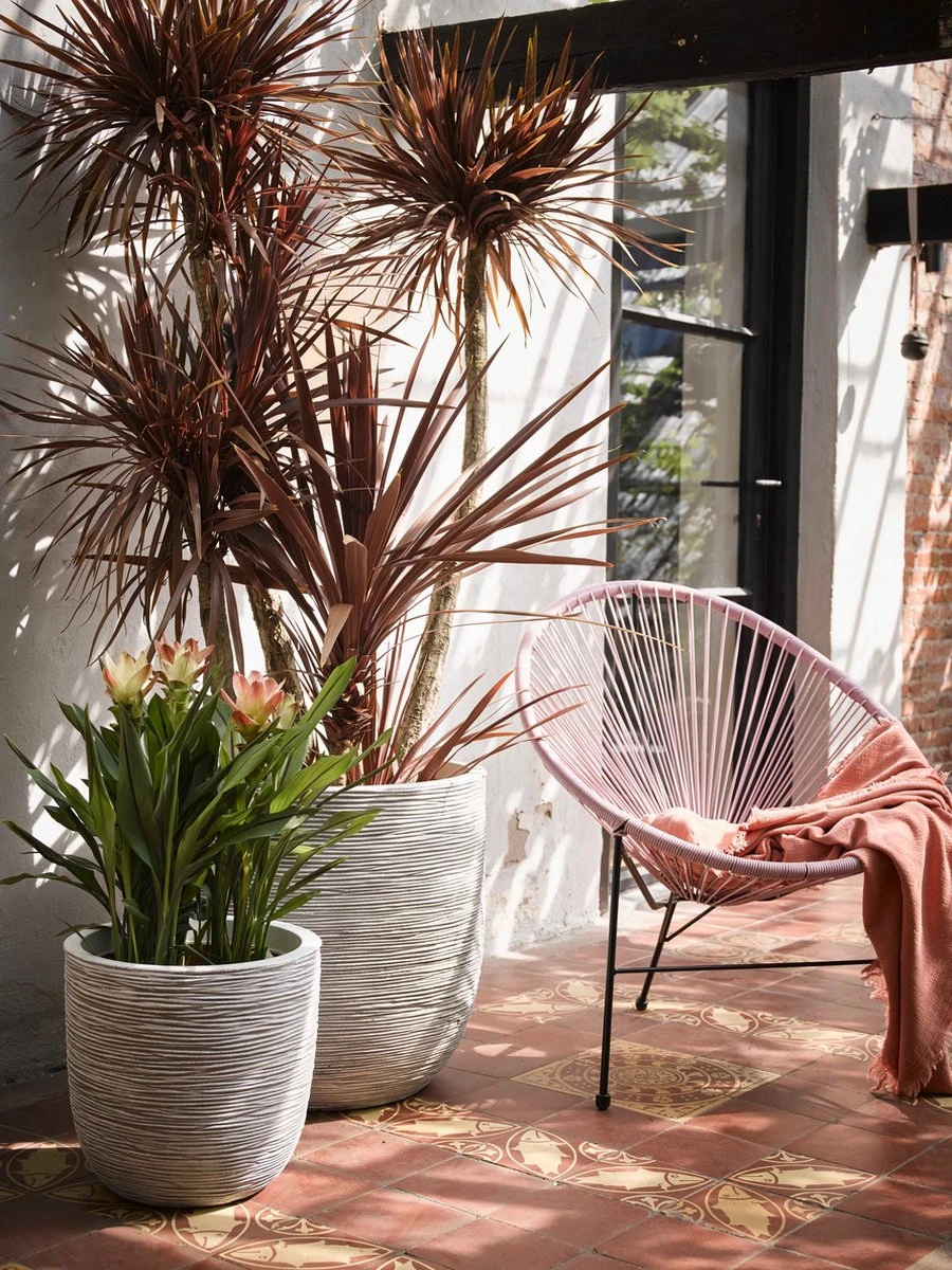 Capi Europe - Bloempot Bol Rib NL - 35x34 - Zwart - Voor Binnen En Buiten - KBLR932 3 Capi Europe - Bloempot Bol Rib NL - 35x34 - Zwart - Voor Binnen En Buiten - KBLR932 - Afbeelding 3