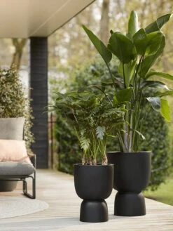 Elho Pure Coupe 35 - Bloempot Voor Binnen & Buiten - Ø 34.9 X H 49.0 Cm - Zwart/Zwart -Tuinwinkel Voor Buitenartikelen 900x1200 25