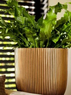 Capi Europe - Bloempot Bol Groove - 23x21 - Goud - Bloempot Voor Binnen - BGVGB134 -Tuinwinkel Voor Buitenartikelen 900x1200 26