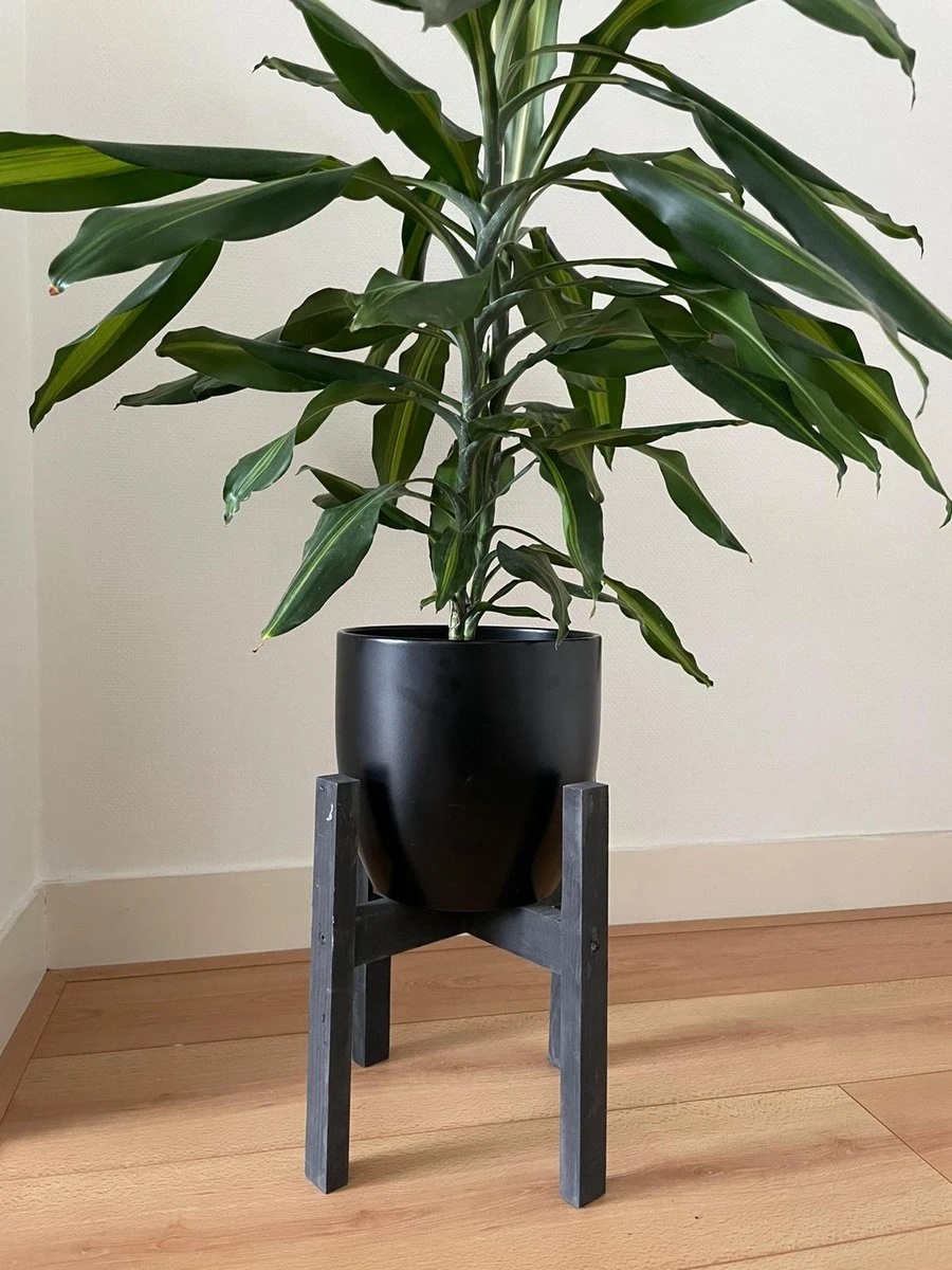 Plantenstandaard Binnen - Diameter Tot 24 Cm - Plantenkruk - Bloempotten Voor Binnen - Plantentafeltje Voor Binnen - Bloempot Standaard | Plantenstandaard - Hout - Mat Zwart 2 Plantenstandaard Binnen - Diameter Tot 24 Cm - Plantenkruk - Bloempotten Voor Binnen - Plantentafeltje Voor Binnen - Bloempot Standaard | Plantenstandaard - Hout - Mat Zwart - Afbeelding 2