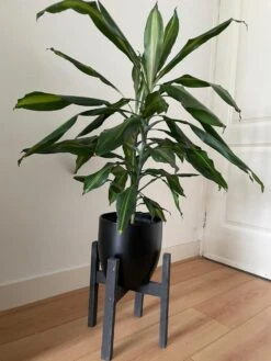 Plantenstandaard Binnen - Diameter Tot 24 Cm - Plantenkruk - Bloempotten Voor Binnen - Plantentafeltje Voor Binnen - Bloempot Standaard | Plantenstandaard - Hout - Mat Zwart 6 Plantenstandaard Binnen - Diameter Tot 24 Cm - Plantenkruk - Bloempotten Voor Binnen - Plantentafeltje Voor Binnen - Bloempot Standaard | Plantenstandaard - Hout - Mat Zwart -Tuinwinkel Voor Buitenartikelen 900x1200 30