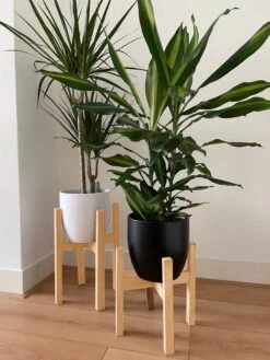 Plantenstandaard | Set Van 2 | Diameter Tot 24 Cm | Plantenkruk | Bloempotten Voor Binnen | Plantentafeltje Voor Binnen | Bloempot Standaard | Plantenstandaard Binnen | Hout | Licht Bruin -Tuinwinkel Voor Buitenartikelen 900x1200 35