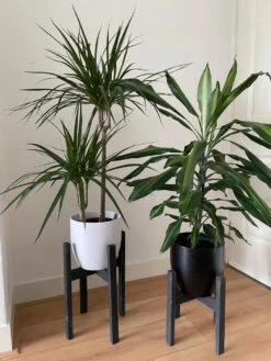 Plantenstandaard Binnen - Set Van 2 - Diameter Tot 24 Cm - Plantenkruk - Bloempotten Voor Binnen - Plantentafeltje Voor Binnen - Bloempot Standaard - Plantenstandaard - Hout - Mat Zwart/Donkergrijs -Tuinwinkel Voor Buitenartikelen 900x1200 39