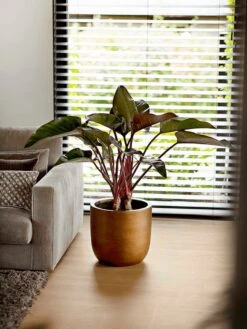 Capi Europe - Bloempot Bol Retro XL - 42x41 - Goud - Bloempot Voor Binnen - Opening ⌀36 - RTG933 -Tuinwinkel Voor Buitenartikelen 900x1200 46