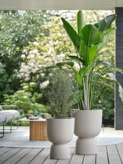 Elho Pure Coupe 35 - Bloempot Voor Binnen & Buiten - Ø 34.9 X H 49.0 Cm - Beige/Balanced Beige -Tuinwinkel Voor Buitenartikelen 900x1200 48