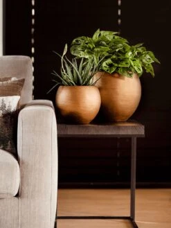 Capi Europe - Vaas Bol Retro - 30x25 - Goud - Bloempot Voor Binnen - BRTG104 19 Capi Europe - Vaas Bol Retro - 30x25 - Goud - Bloempot Voor Binnen - BRTG104 -Tuinwinkel Voor Buitenartikelen 900x1200 53