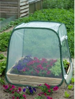Nature - Tuinbroeikas Pop-up - 100 X 100 X 100cm - Vierkante Meter Tuin 14 Nature - Tuinbroeikas Pop-up - 100 X 100 X 100cm - Vierkante Meter Tuin -Tuinwinkel Voor Buitenartikelen 908x1200