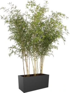 Elho Vivo Matt Finish Lang Wielen 90 - Grote Staande Plantenbak Voor Binnen & Buiten - Gemaakt Van Gereycled Plastic - L 39 X W 88 X H 41 Cm - Zwart -Tuinwinkel Voor Buitenartikelen 911x1200