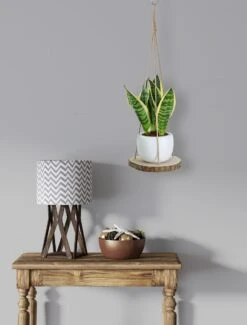 Set Van 2 Boomstam Rond Wandrek Plantenhangers - Boho Jute Houten Plantenrek - Hangpot Voor Binnen/Buiten - Hangende Bloempot Plank - Hangplant Houder - Bohemian Macrame Stijl Wandhanger - Hangplank Plant Hanger - Planthanger - Ø Rond 25-20cm 18 Set Van 2 Boomstam Rond Wandrek Plantenhangers - Boho Jute Houten Plantenrek - Hangpot Voor Binnen/Buiten - Hangende Bloempot Plank - Hangplant Houder - Bohemian Macrame Stijl Wandhanger - Hangplank Plant Hanger - Planthanger - Ø Rond 25-20cm -Tuinwinkel Voor Buitenartikelen 912x1200 1